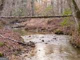 156+ Higdon Creek Road - Photo 24