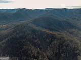 156+ Higdon Creek Road - Photo 6