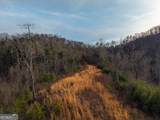 156+ Higdon Creek Road - Photo 9