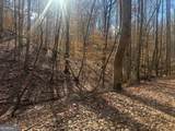 LOT 2750 Nimrod Court - Photo 11