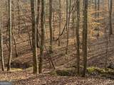 LOT 2750 Nimrod Court - Photo 4