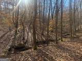 LOT 2750 Nimrod Court - Photo 7