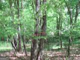0 Chestatee Drive - Photo 2