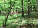 0 Chestatee Drive - Photo 3