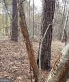 2285 Cherokee Road - Photo 14