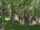 0 Twin Oaks Drive - Photo 2