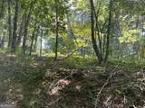 0 Twin Oaks Drive - Photo 3