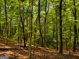 J208 Pine Ridge Road - Photo 1