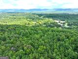 74 +/- Acres On Raccoon Road - Photo 1