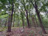 74 +/- Acres On Raccoon Road - Photo 10