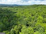 74 +/- Acres On Raccoon Road - Photo 11