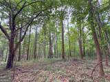 74 +/- Acres On Raccoon Road - Photo 12