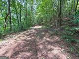 74 +/- Acres On Raccoon Road - Photo 13