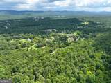 74 +/- Acres On Raccoon Road - Photo 14