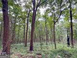 74 +/- Acres On Raccoon Road - Photo 15