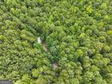 74 +/- Acres On Raccoon Road - Photo 16