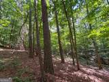 74 +/- Acres On Raccoon Road - Photo 17