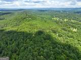 74 +/- Acres On Raccoon Road - Photo 18