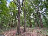 74 +/- Acres On Raccoon Road - Photo 19