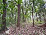 74 +/- Acres On Raccoon Road - Photo 21