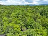 74 +/- Acres On Raccoon Road - Photo 23