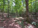74 +/- Acres On Raccoon Road - Photo 24