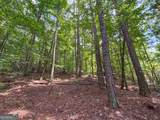 74 +/- Acres On Raccoon Road - Photo 25