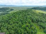 74 +/- Acres On Raccoon Road - Photo 26