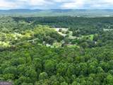 74 +/- Acres On Raccoon Road - Photo 28