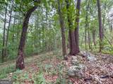 74 +/- Acres On Raccoon Road - Photo 29