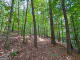 74 +/- Acres On Raccoon Road - Photo 3