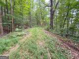 74 +/- Acres On Raccoon Road - Photo 30