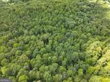 74 +/- Acres On Raccoon Road - Photo 31