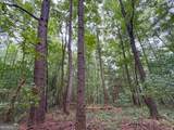 74 +/- Acres On Raccoon Road - Photo 32