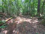 74 +/- Acres On Raccoon Road - Photo 34