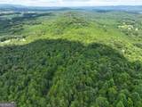 74 +/- Acres On Raccoon Road - Photo 35