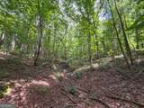 74 +/- Acres On Raccoon Road - Photo 36