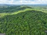 74 +/- Acres On Raccoon Road - Photo 5