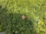 74 +/- Acres On Raccoon Road - Photo 8