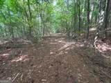 74 +/- Acres On Raccoon Road - Photo 9