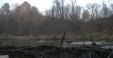 +/- 190 AC Bevis Road - Photo 13