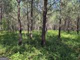 +/- 190 AC Bevis Road - Photo 19