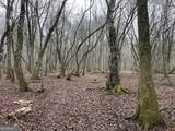 +/- 190 AC Bevis Road - Photo 26