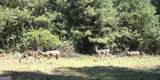+/- 190 AC Bevis Road - Photo 28