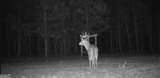 +/- 190 AC Bevis Road - Photo 29