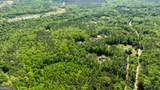 0 Highway 54 & Bear Creek Road - Photo 11