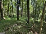 5420 Cantrell Road - Photo 8
