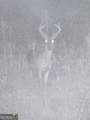 0 County Road 404 - Photo 15
