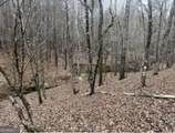0 Black Springs Road - Photo 4