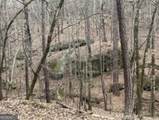 0 Black Springs Road - Photo 6